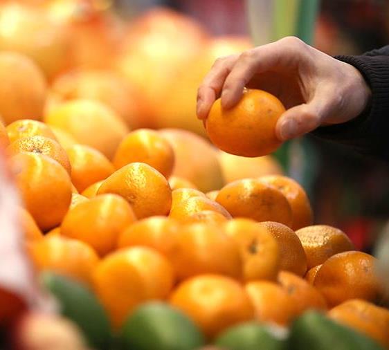 В Астрахань привезли турецкие мандарины с личинками