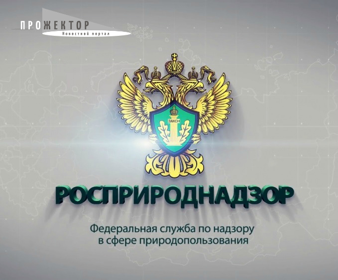 В Астрахани новый  начальник Росприроднадзора
