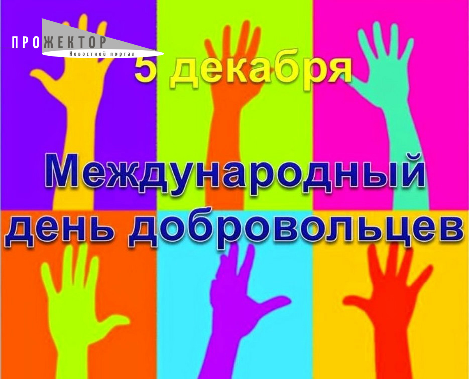 Астраханские добровольцы подводят итоги работы за год