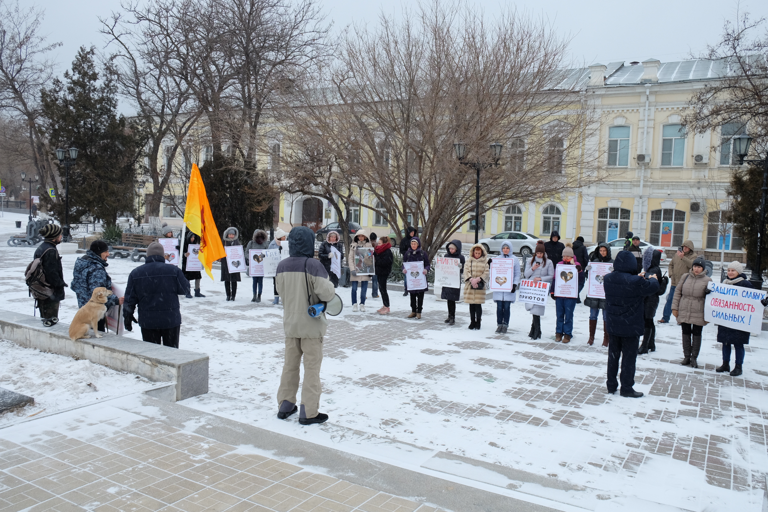30 митингующих, не считая собаки: зоозащитники Астрахани вышли на улицу (Фото)