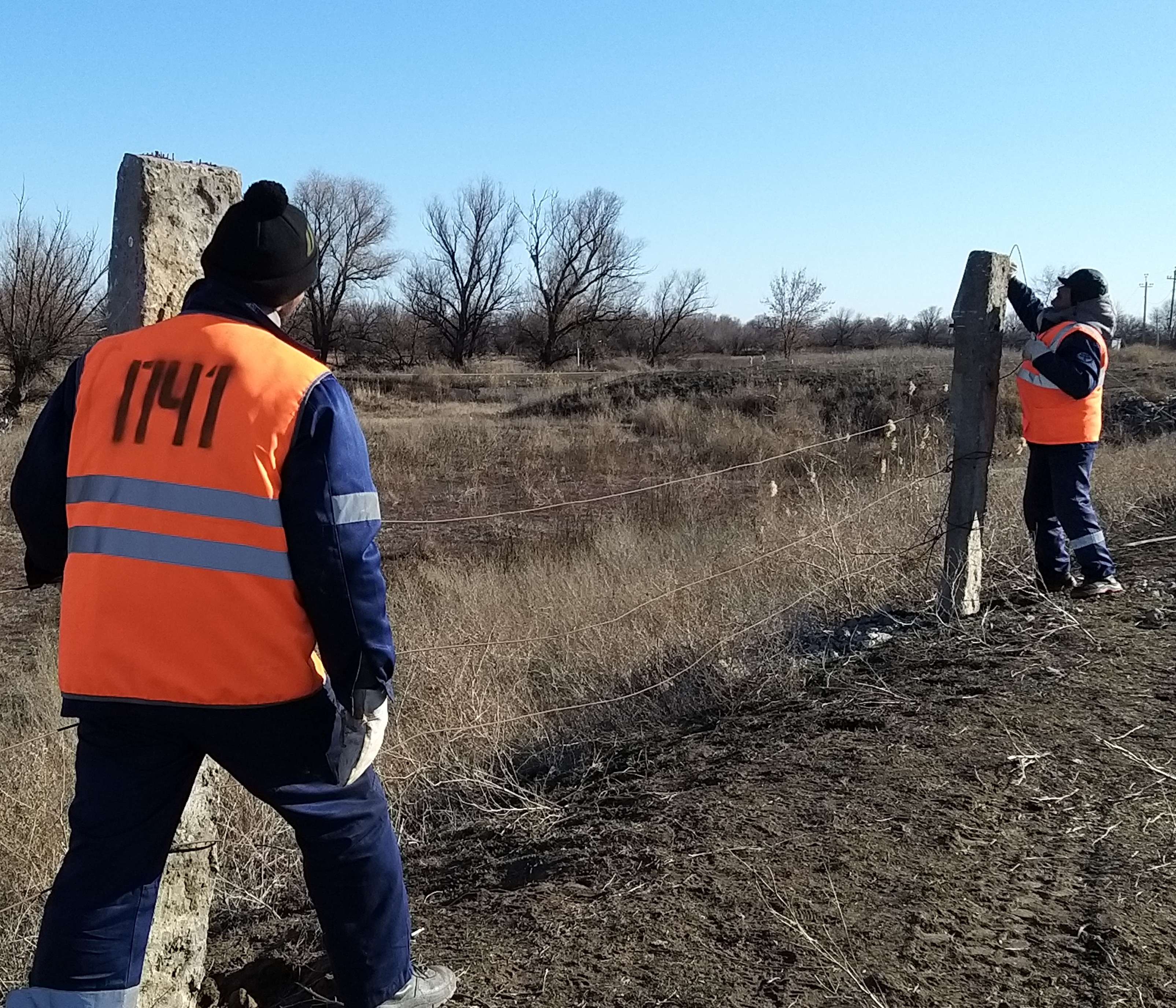 В Астраханской области защищают жд-пути от безнадзорного домашнего скота