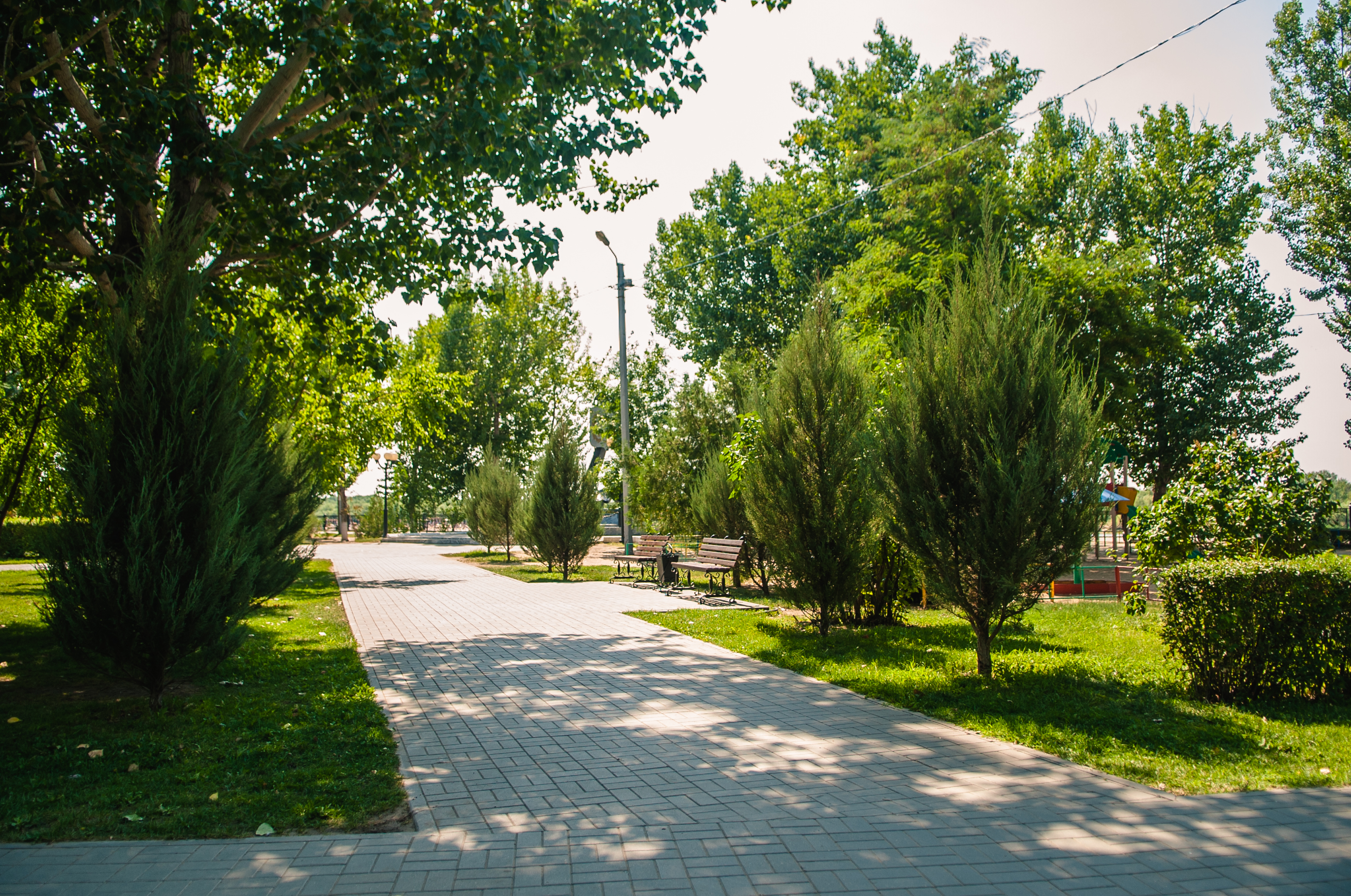 В Астрахани посадят «Сад памяти»