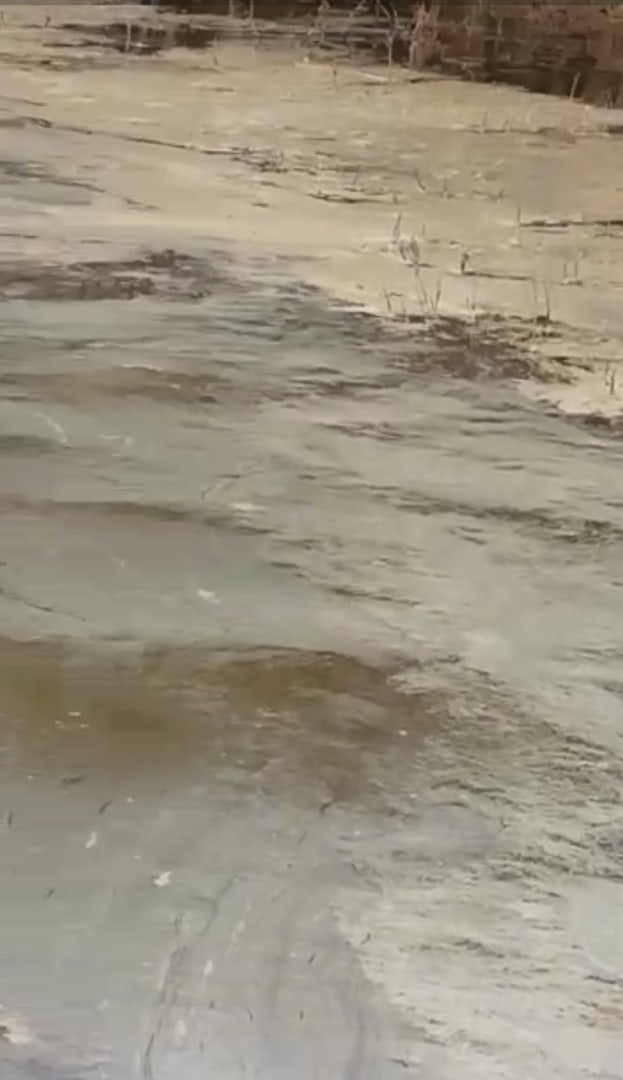 Река Кизань в Астраханской области загрязнена нефтепродуктами