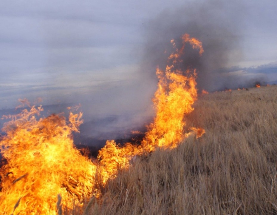Астраханской области прогнозируют высокую пожароопасность