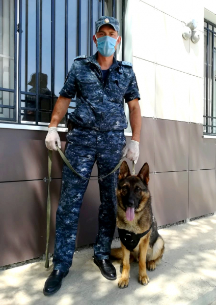 Астраханская собака помогла полицейским раскрыть кражу