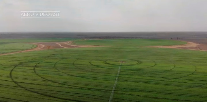 В Астрахани сняли необычные круги на полях