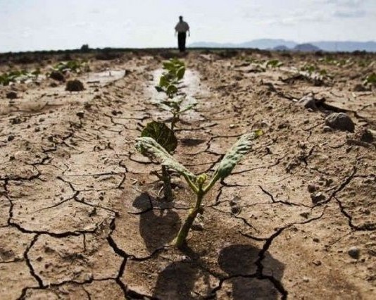 Учёные фиксируют в Астраханской области сильную засуху