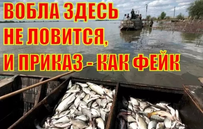 Стоит ли Астраханской области подчиняться противоречивому федеральному документу по вылову воблы