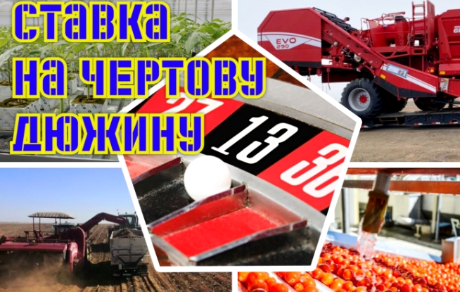 В Астраханской области большие надежды с развитием агропрома связаны с 13 инвестпроектами