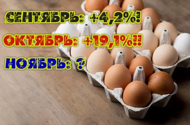 Удар по яйцам-2: в октябре рост цен на социально важный продукт в Астраханской области оказался вчетверо выше, чем в сентябре