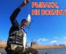 Пока Астраханской области хотят помочь с воблой только запретом
